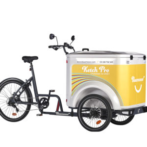 Vélo cargo triporteur mécanique, caisson ABS, Ketch Pro