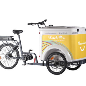 Vélo cargo triporteur à assistance électrique, caisson ABS, Ketch Pro Enviolo