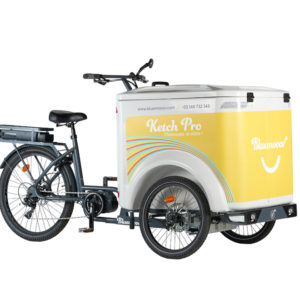 Vélo cargo triporteur à assistance électrique, caisson ABS, Ketch Pro Shimano